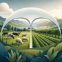 Livestock and Crop Insurance in New Zealand: What Farmers Should Understand