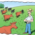 Article thumbnail image: Livestock Insurance for Australian Farmers: What to Know Before Choosing Cover