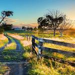 Article thumbnail image: What does Farm Insurance Cover?